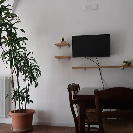 Cocoon Apartman
