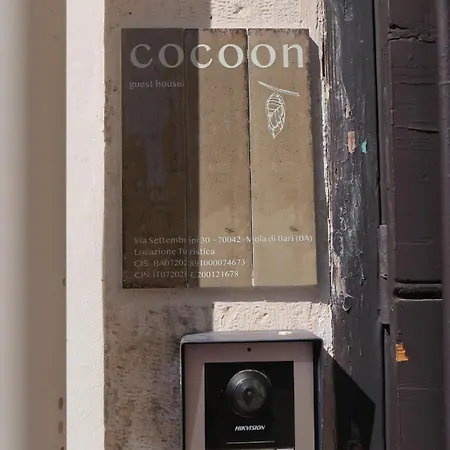 Cocoon *