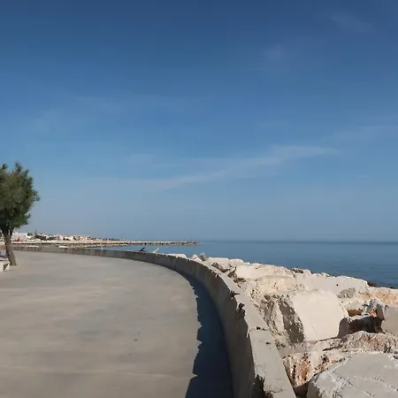 Cocoon * Mola di Bari